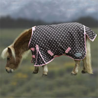 Rhinegold 'Dottie' Pony/Foal
